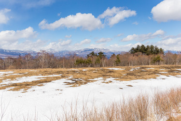 Similar image 11823812