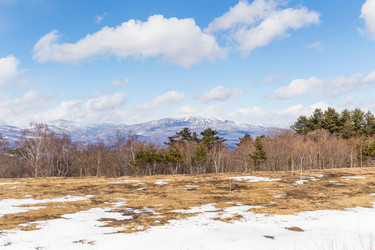 Similar image 11823888