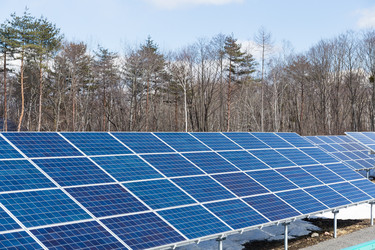 Similar image 11823931