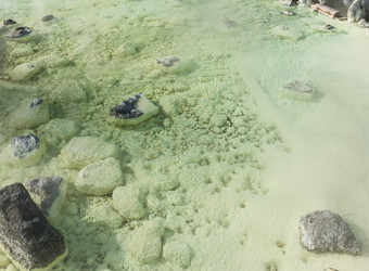 Similar image 11824262