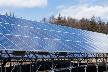 Similar image 11824373