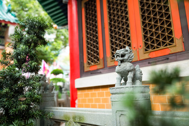 Similar image 11824210