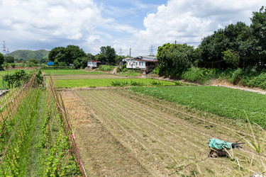 Similar image 11824231