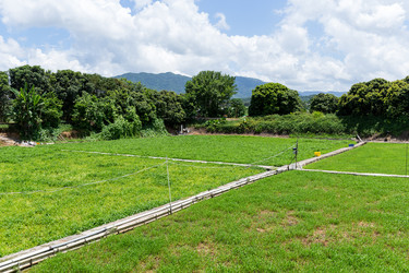 Similar image 11824136