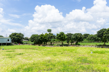 Similar image 11824138