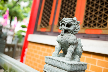 Similar image 11824273