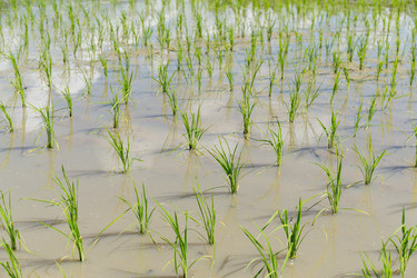 Similar image 11824305