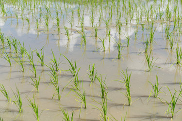 Similar image 11824306