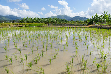 Similar image 11824307