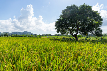 Similar image 11824365