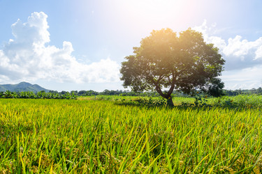 Similar image 11824383