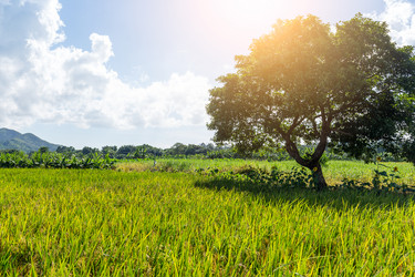 Similar image 11824384