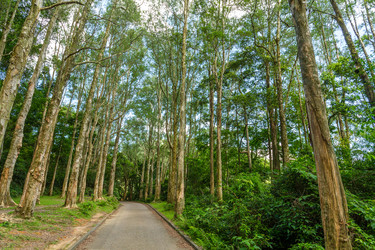 Similar image 11824532