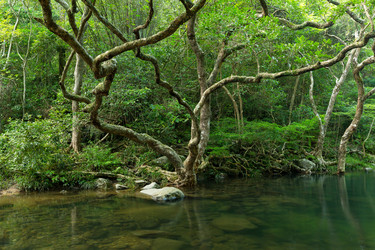 Similar image 11824563