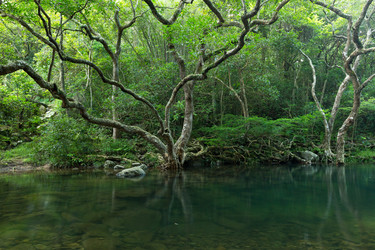 Similar image 11824812