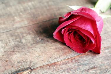 Similar image 11818341