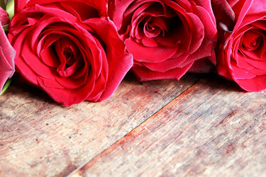 Similar image 11818342