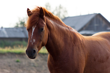 Similar image 11820634