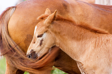 Similar image 11820635