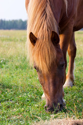 Similar image 11820636