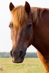 Similar image 11820637