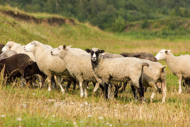 Similar image 11820640