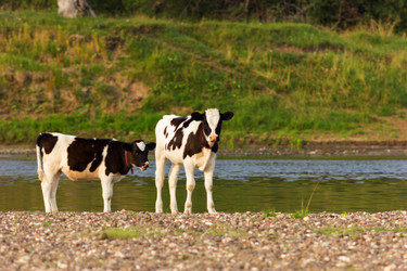 Similar image 11820641