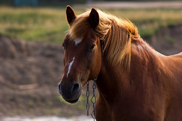 Similar image 11821301