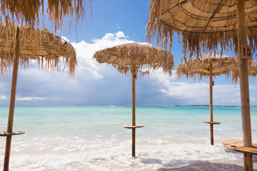 Similar image 11828269