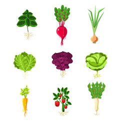 Similar image 11833730