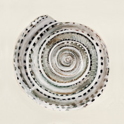 Similar image 11822550