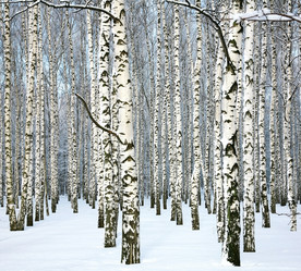 Similar image 11821860