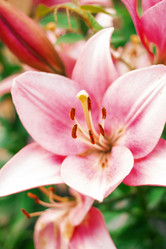 Similar image 11821984