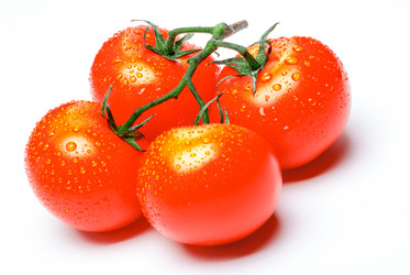 Similar image 11825348