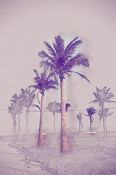 Similar image 11824878