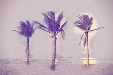 Similar image 11824918