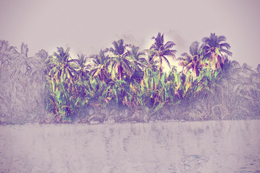 Similar image 11824936