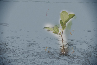 Similar image 11825093