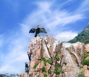 Similar image 11823581