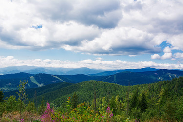 Similar image 11822035