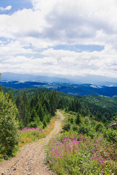 Similar image 11822040