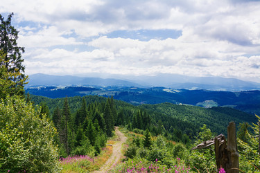 Similar image 11822042