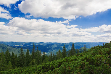 Similar image 11822044