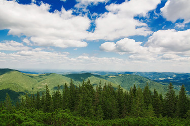 Similar image 11822046