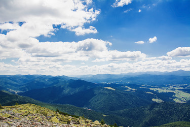 Similar image 11822056