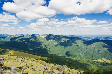 Similar image 11822106