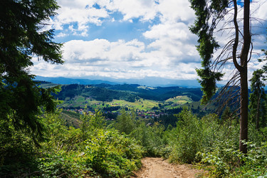 Similar image 11822183