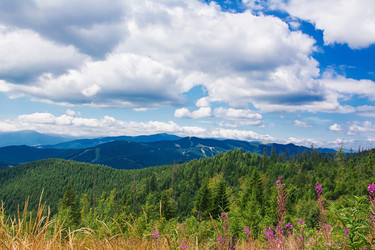 Similar image 11822189