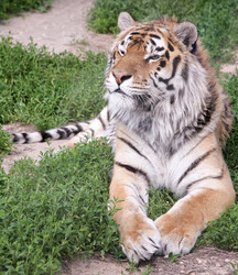 Similar image 11821861