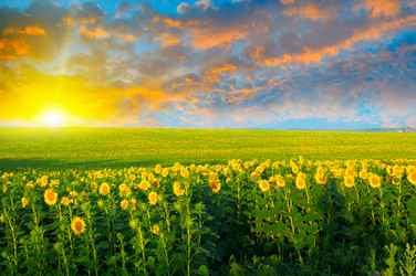 Similar image 11825599